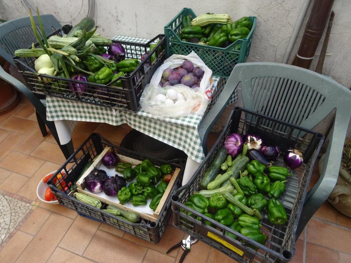 La Bottega Del Fabbro Affitto Breve Villa Contigliano Екстериор снимка